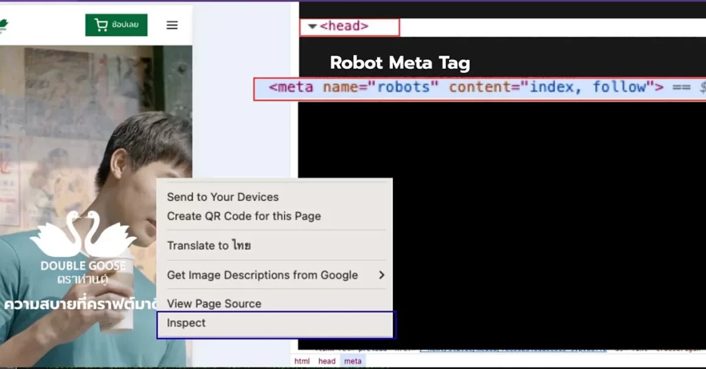 วิธีการตรวจสอบ Robots Meta Tag และการแสดงผล